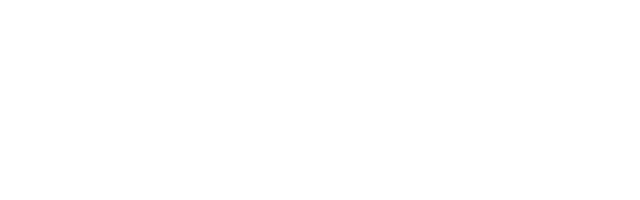 Bravo Store Systems