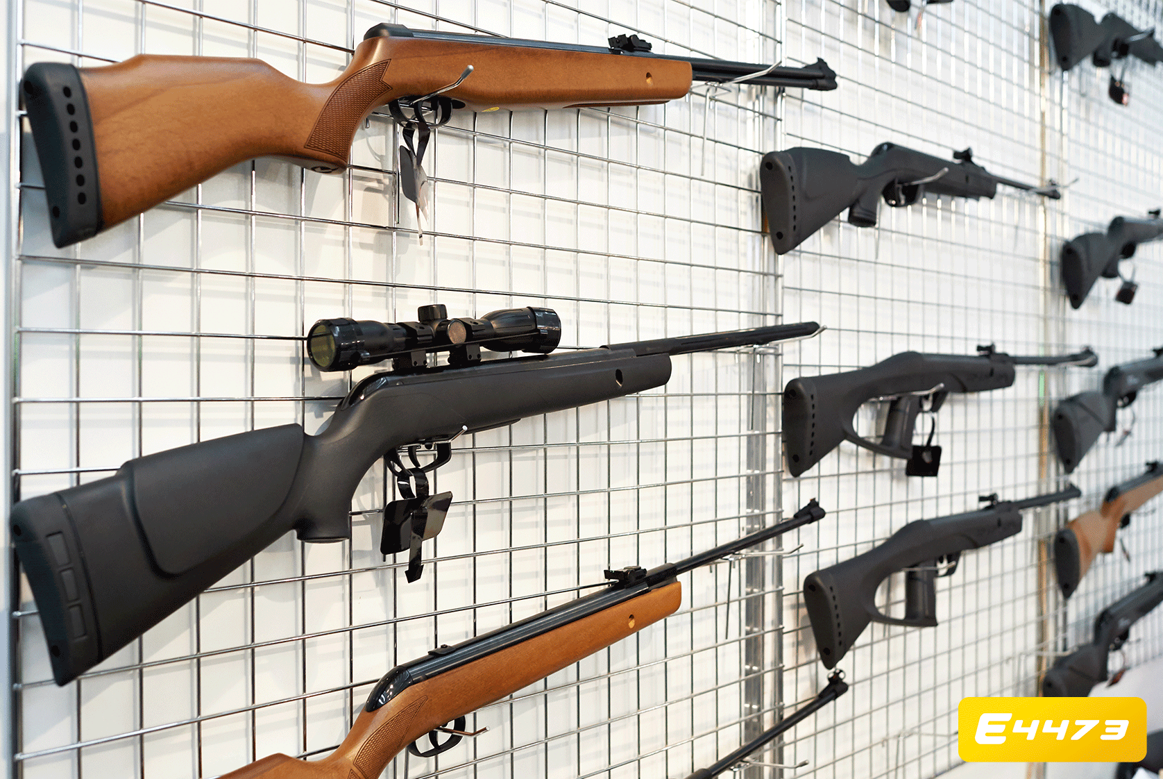 Find Your Sales Niche with Fast Firearm Transfers