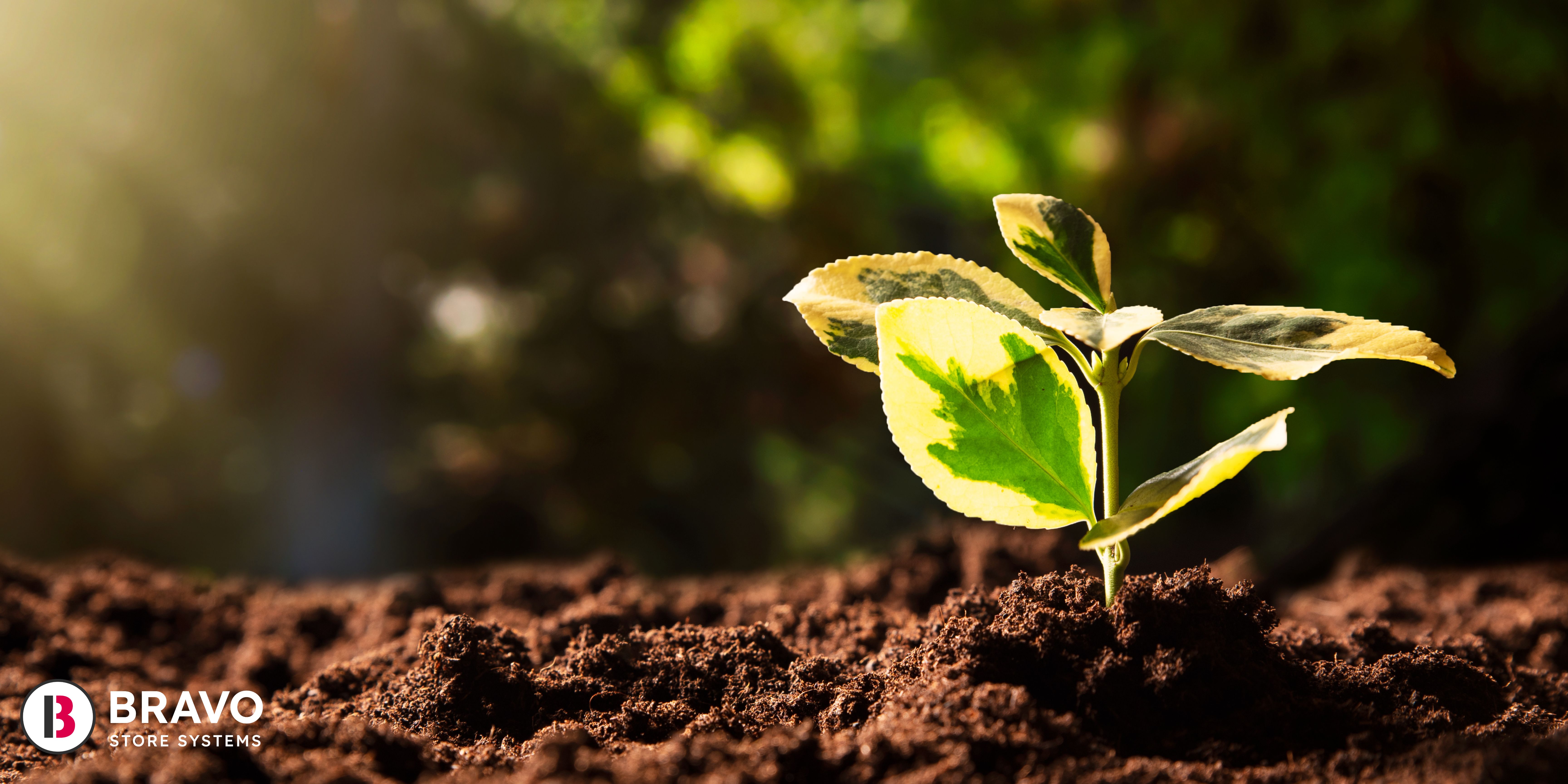 Sustainability in Retail: How Going Digital Helps the Environment